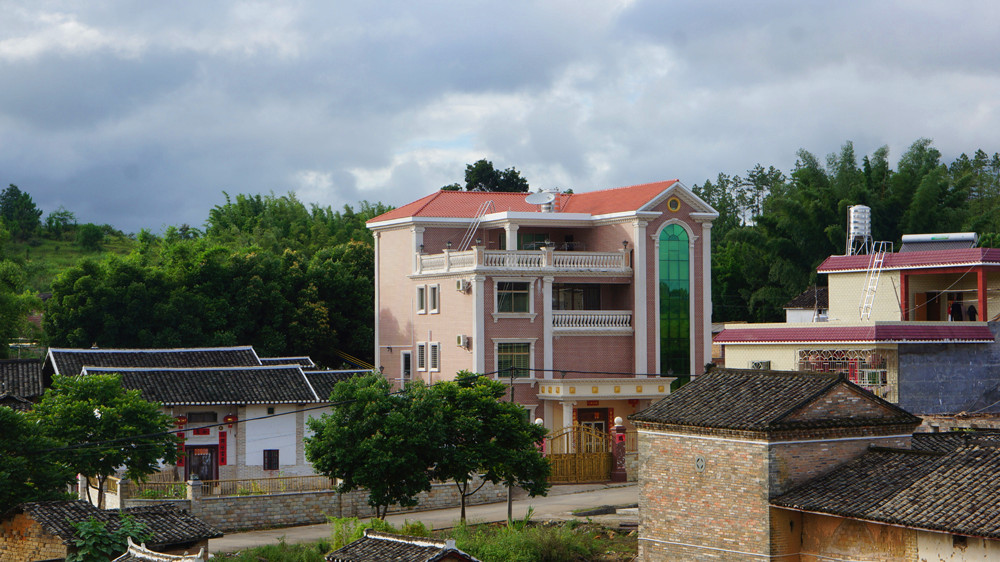 DSC04131.jpg