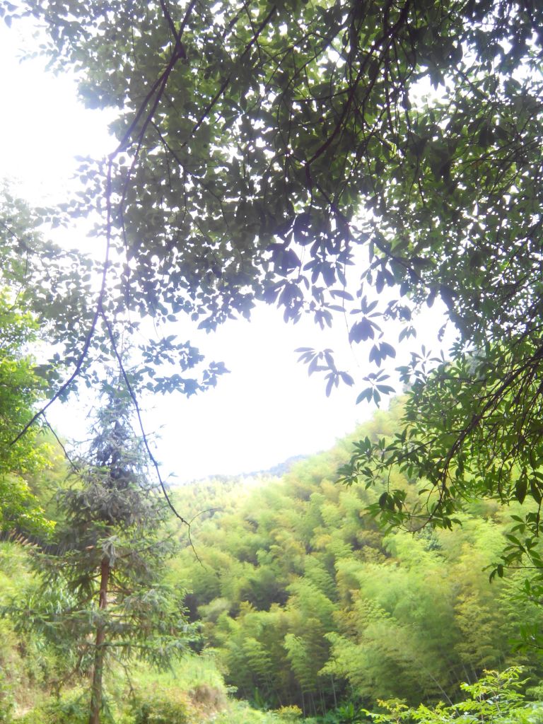 IMG_20130629_105513.jpg