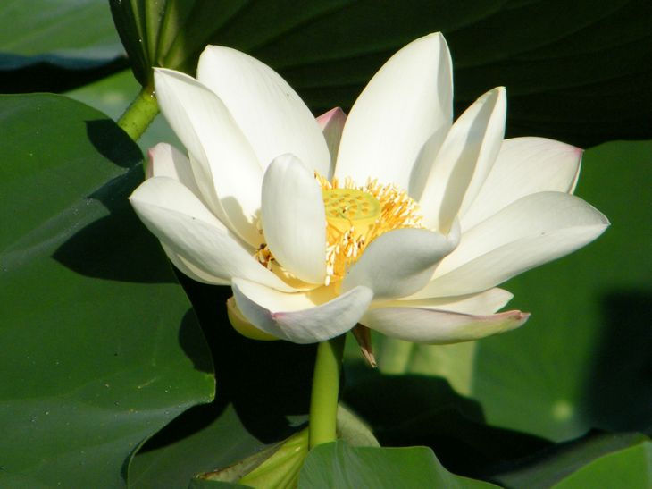 DSCF4459.JPG