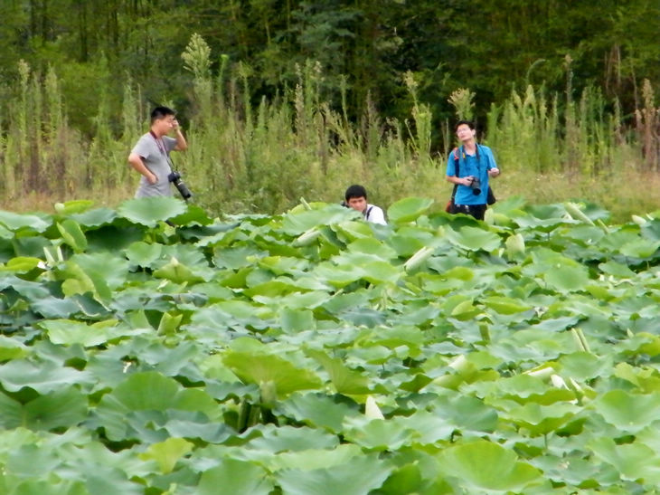 DSCF4953.JPG