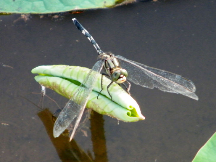 DSCF5018.JPG