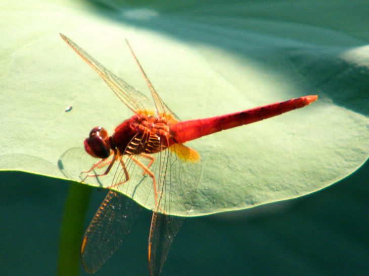 DSCF5024.JPG