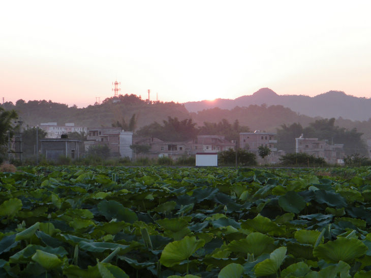 DSCF5064.JPG