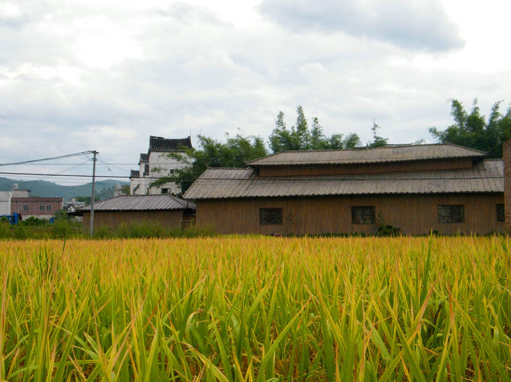 DSCF5340.JPG