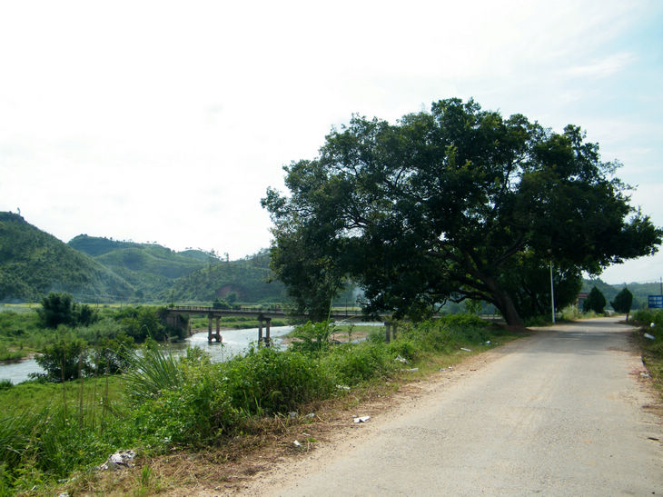DSCF5219.JPG