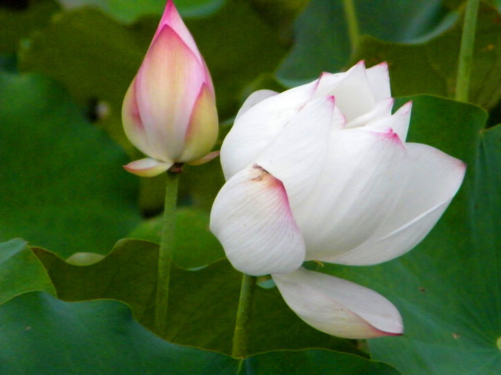 DSCF5349.JPG