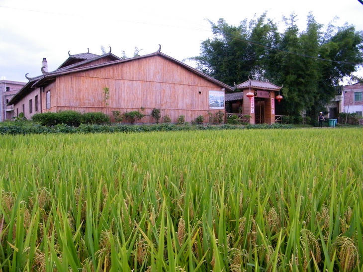 DSCF5326.JPG