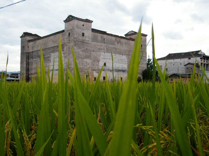 DSCF5322.JPG