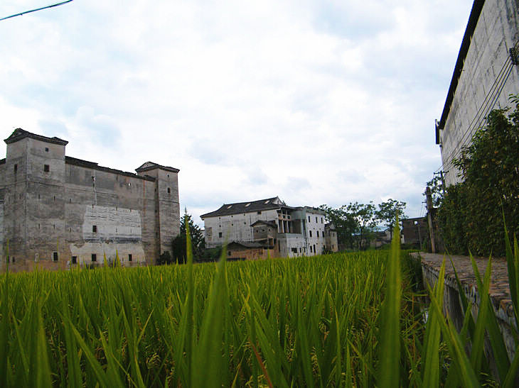 DSCF5332.JPG