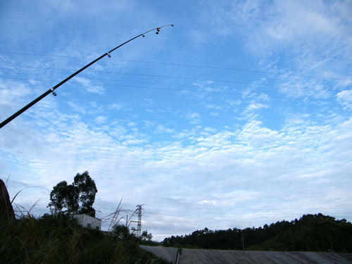 DSCF6005.JPG