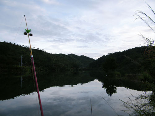 DSCF5993.JPG
