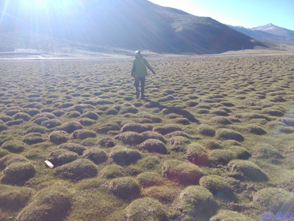 nEO_IMG_2013-06-14_0063.jpg