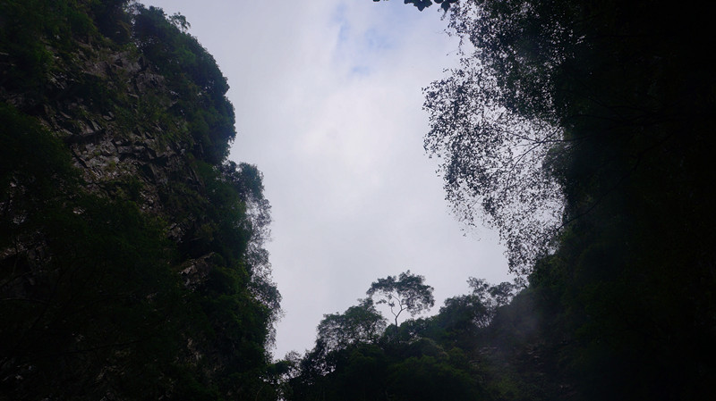 DSC06597.jpg