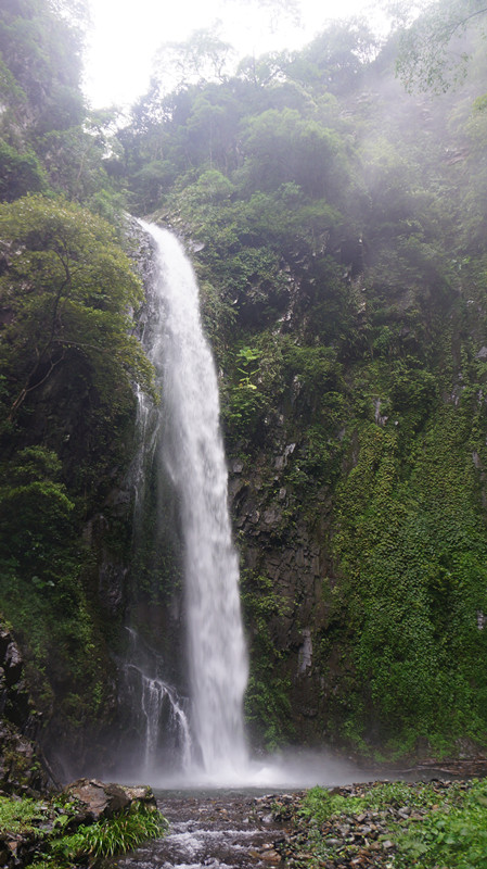 DSC06603.jpg