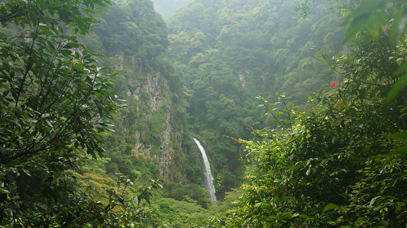 DSC06742.jpg