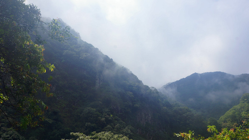DSC06762.jpg