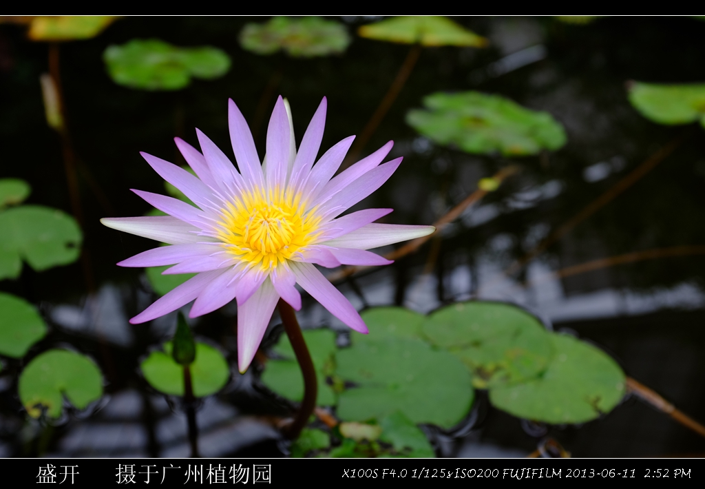 DSCF5262_.jpg