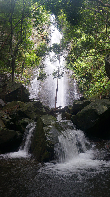 DSC06823.jpg