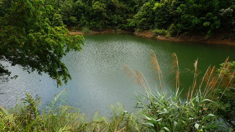 DSC07034.jpg