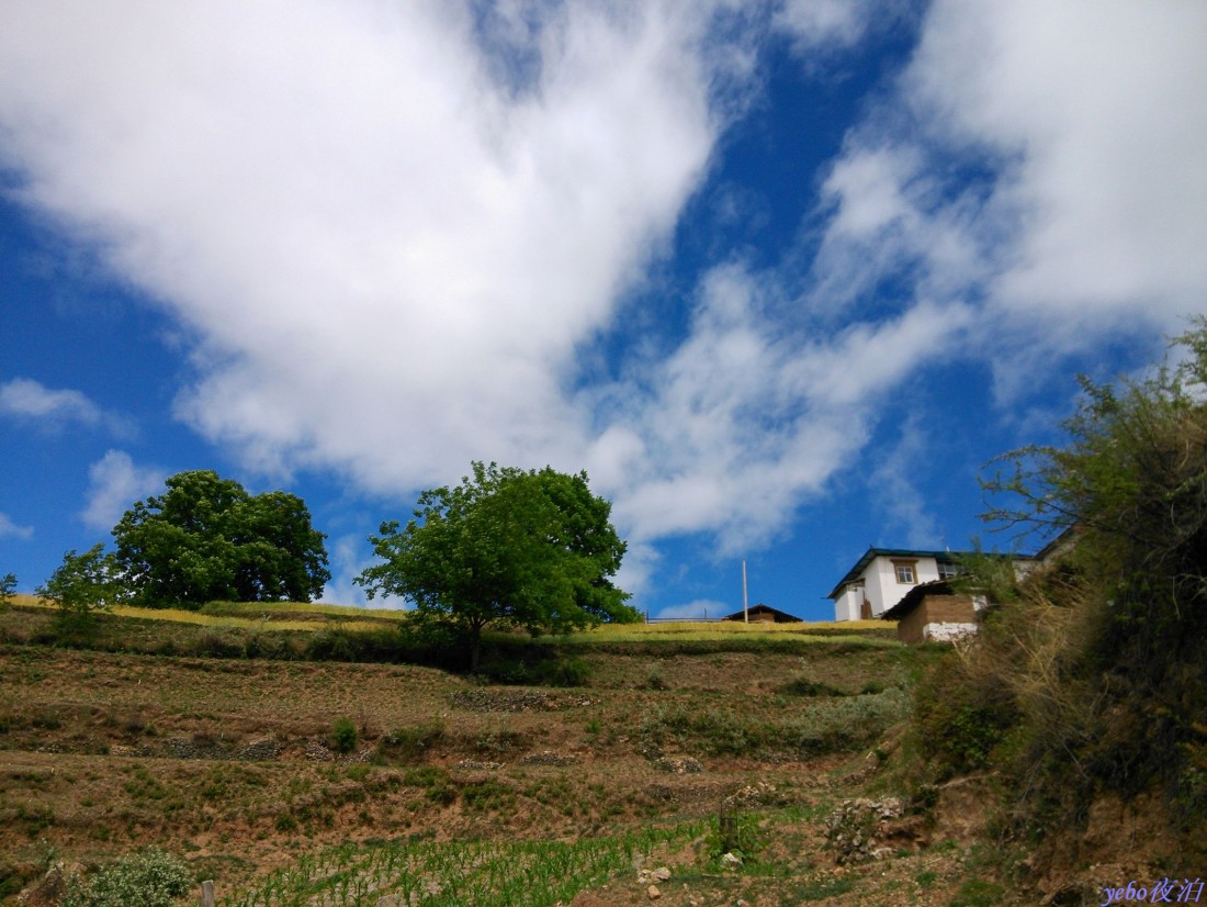 2013-05-31_0068.jpg