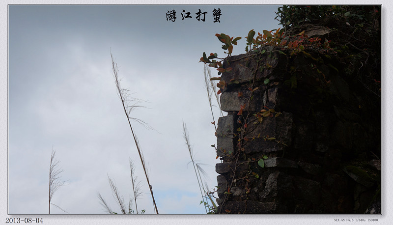 DSC07337.jpg