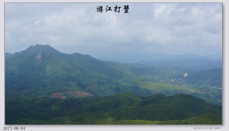 DSC07311.jpg
