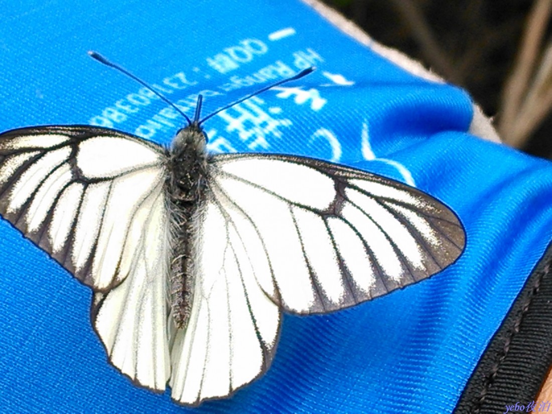 2013-06-19_0007.jpg