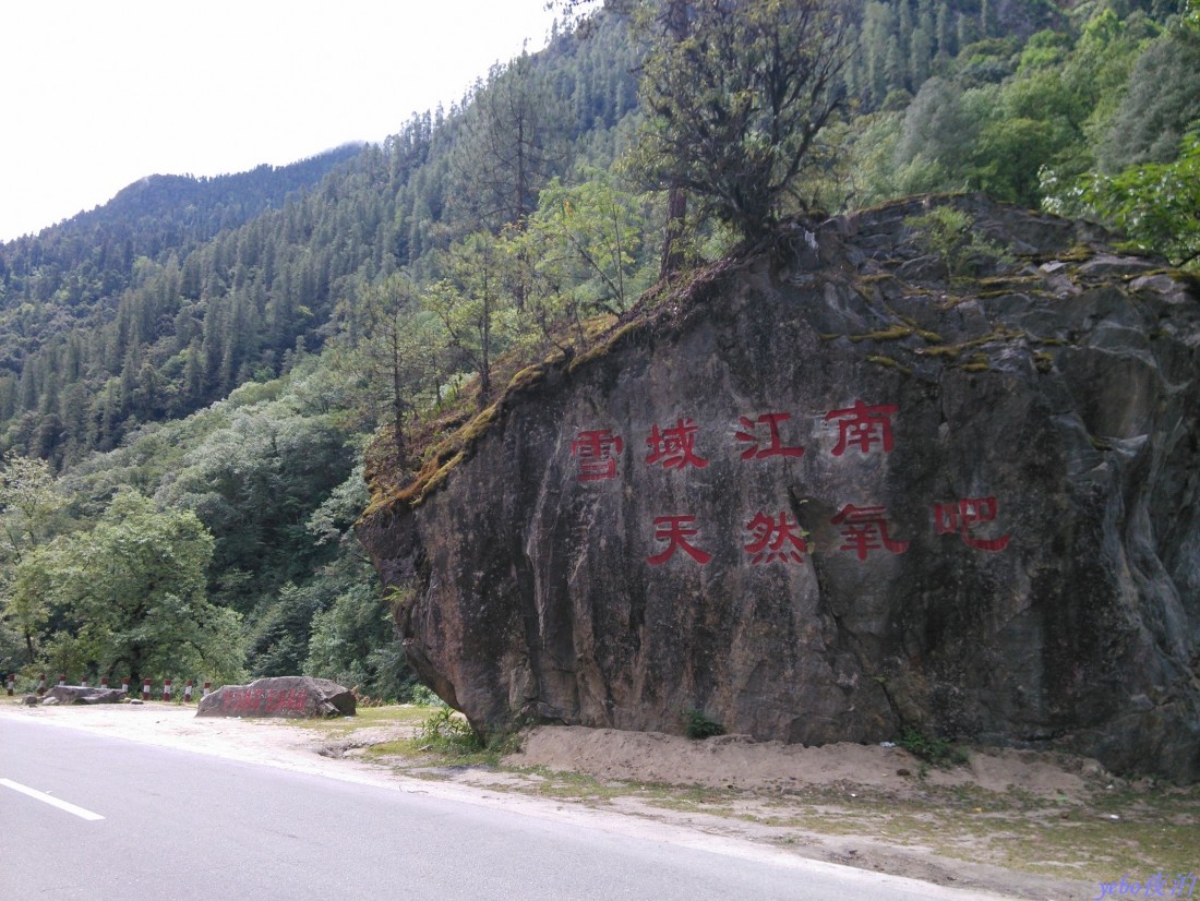 2013-06-20_0013.jpg