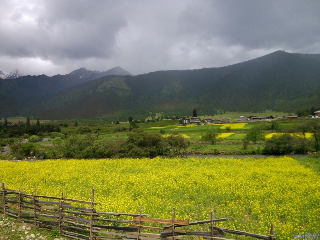2013-06-20_0031.jpg