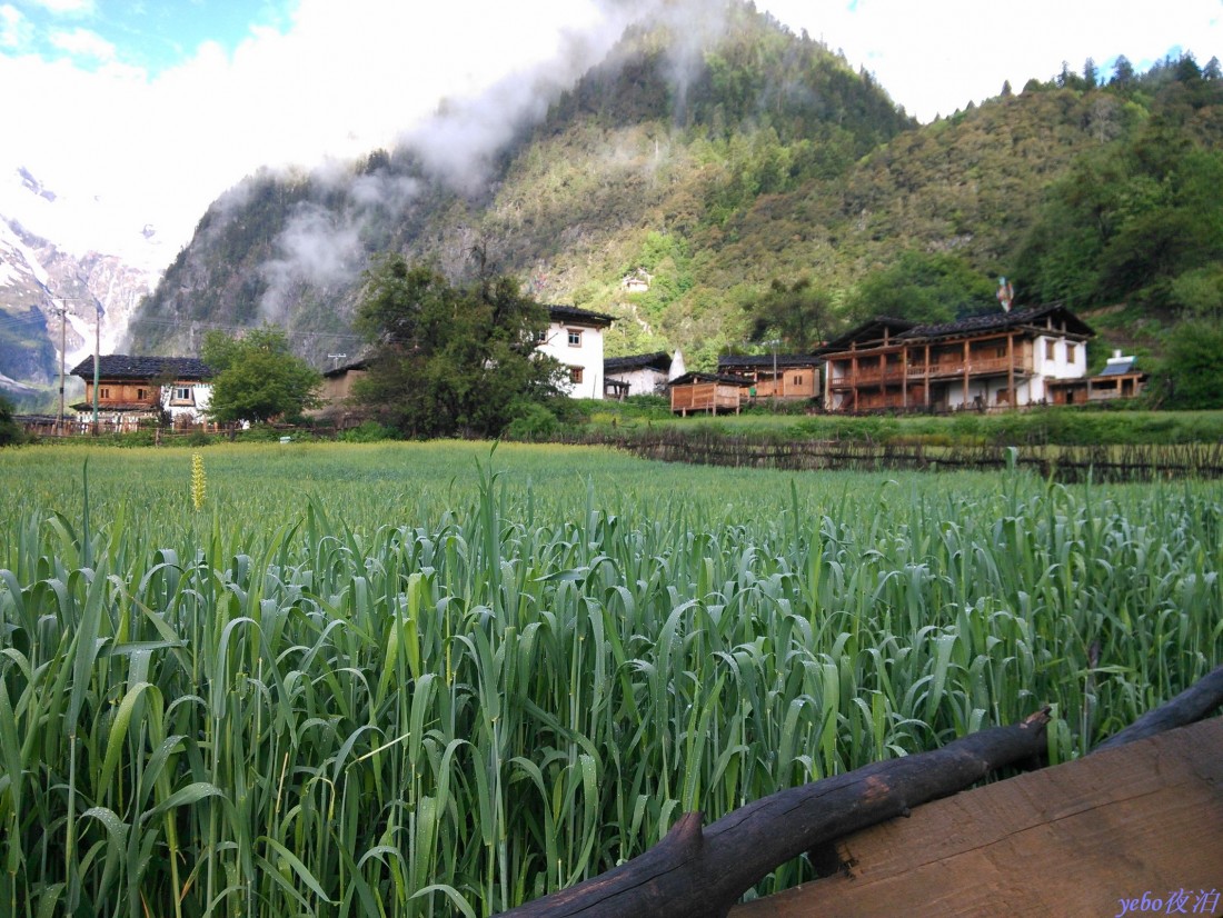 2013-06-04_0010.jpg
