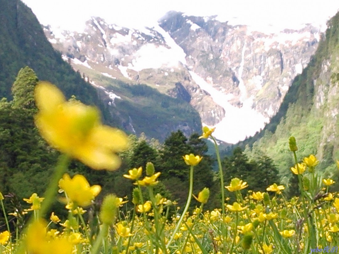 2013-06-04_0037.jpg