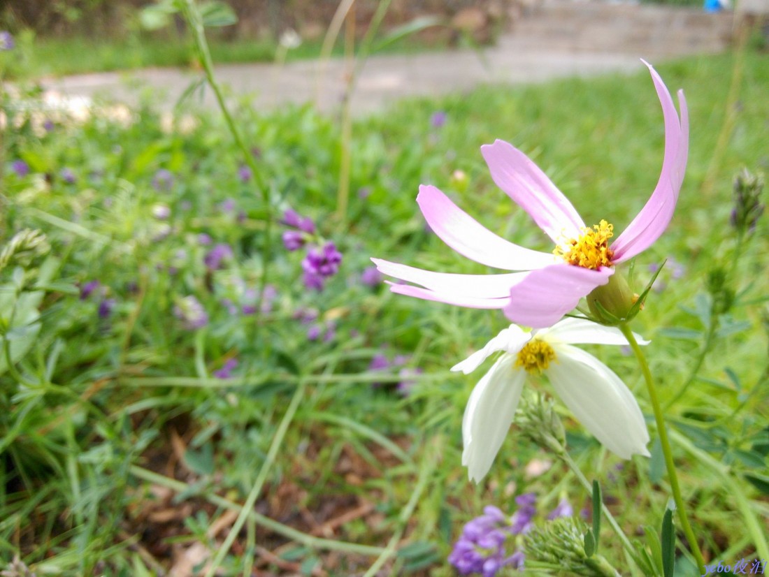 2013-06-09_0006.jpg