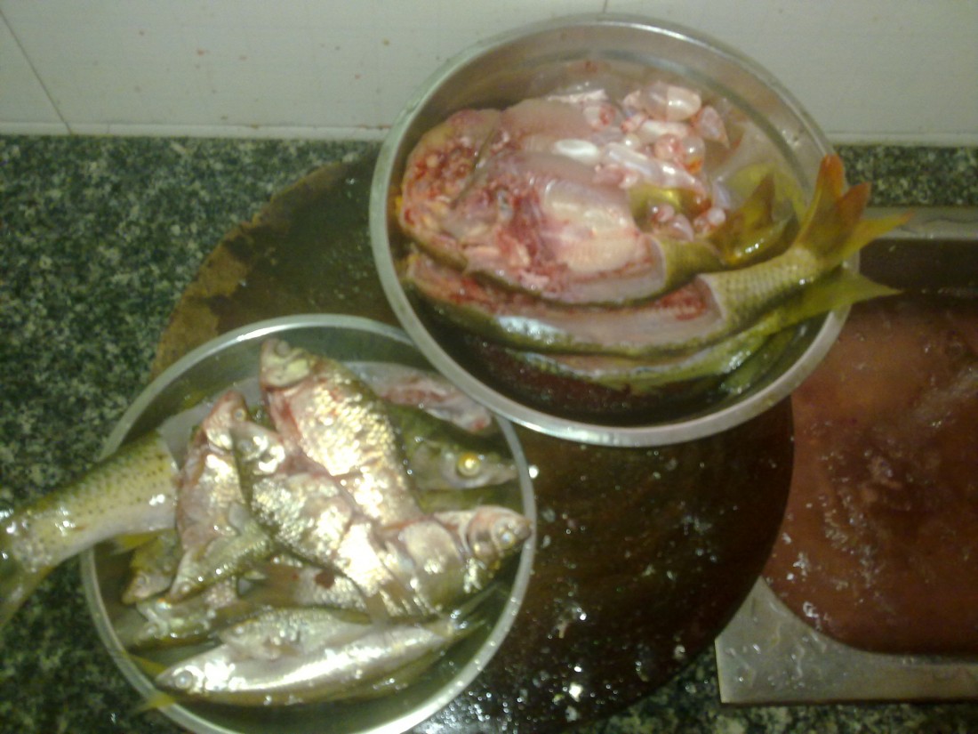 20130706067.jpg