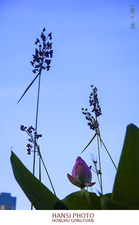 DSC_0255-sc.jpg