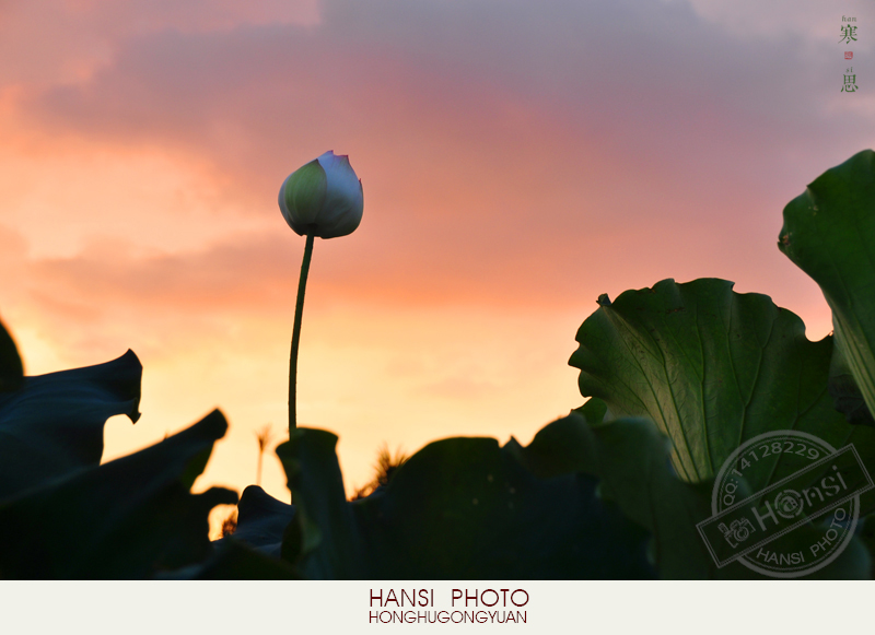 DSC_1162 sc.jpg
