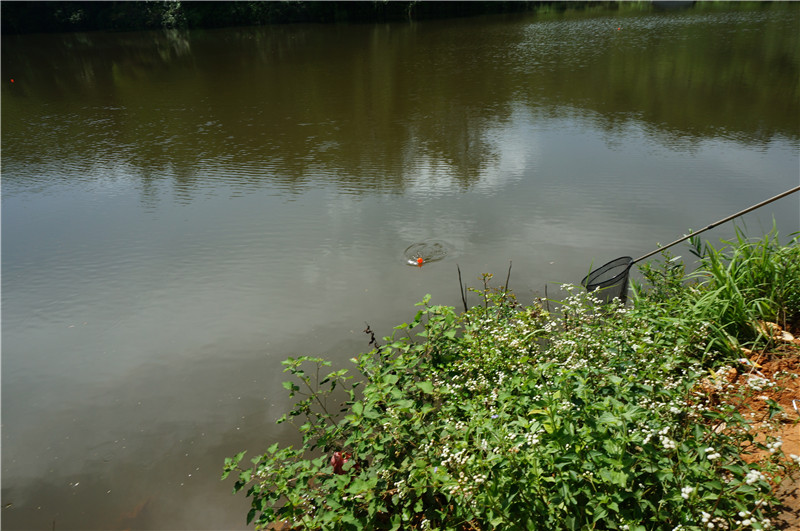 DSC07304.jpg
