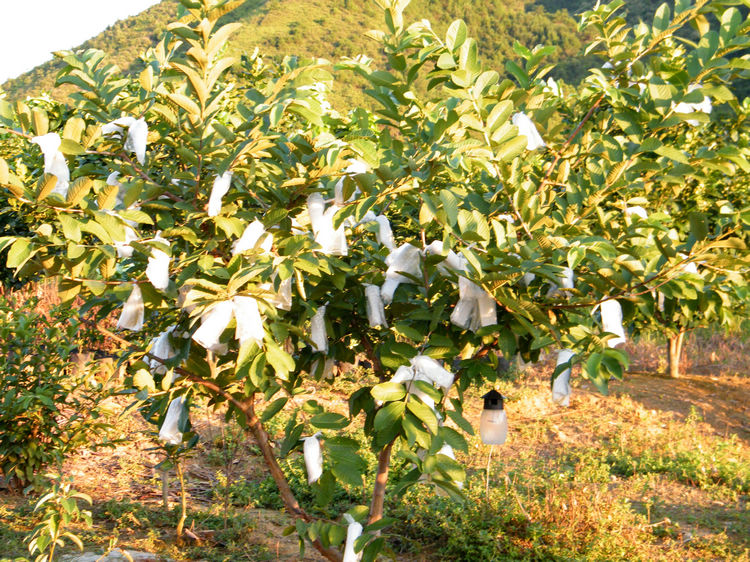 DSCF6558.JPG