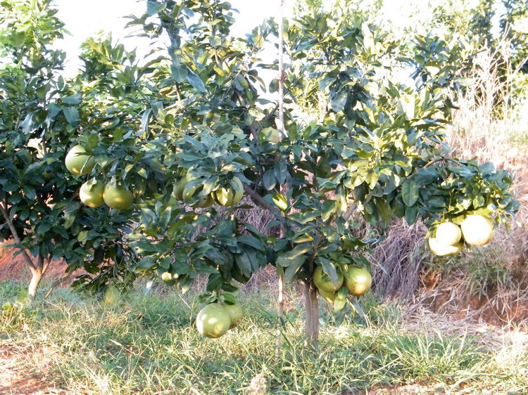 DSCF6557.JPG