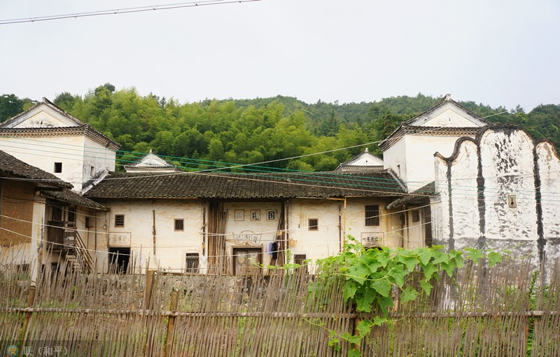 118.jpg
