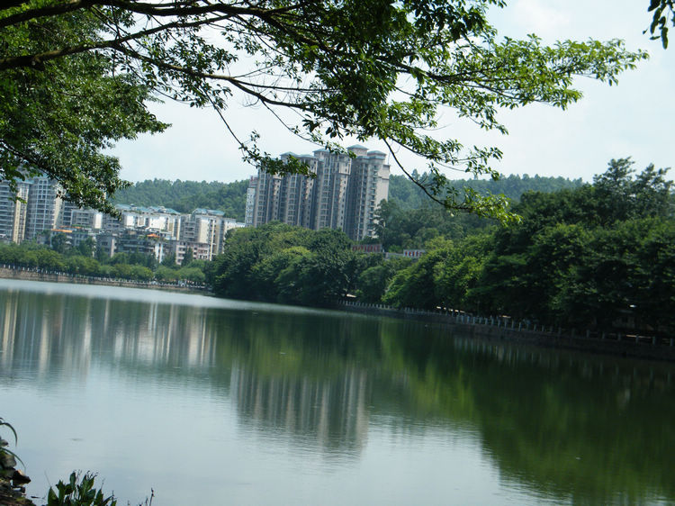 DSCF6336.JPG