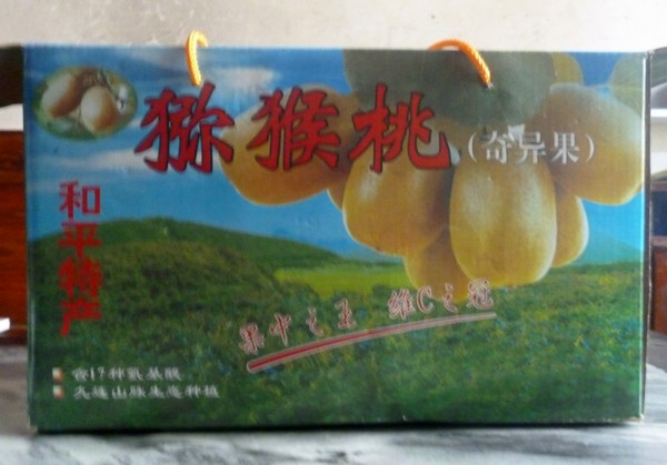 P1020500.JPG