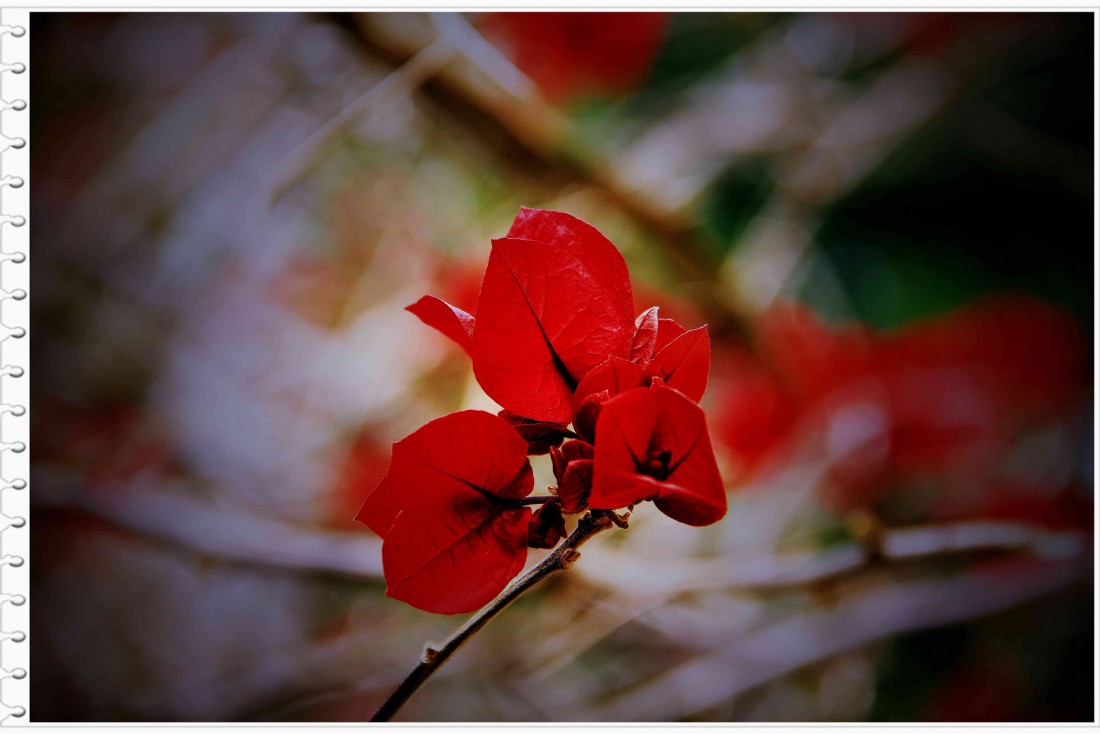 ÷ظҶ÷ë{ž顢ǻҶӻҶ÷ֽȡΪԮ ...