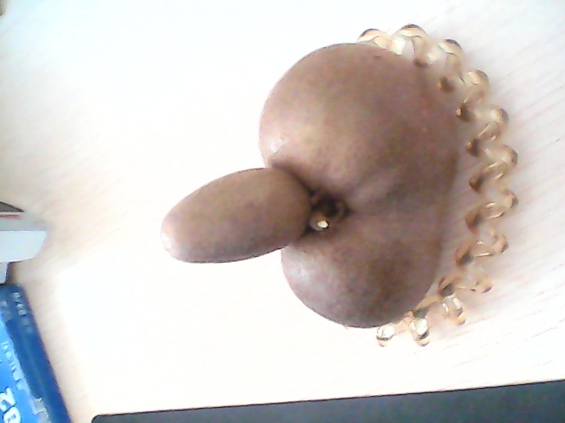 IMG_20130830_154029.jpg