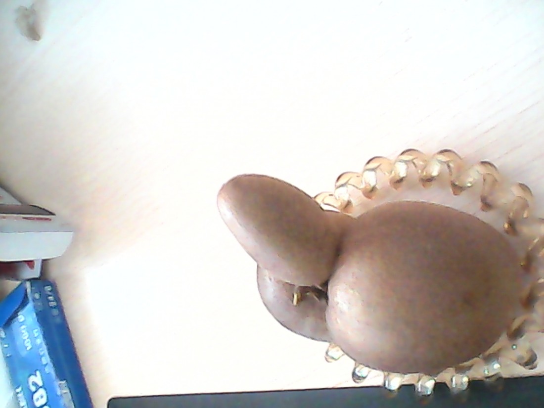 IMG_20130830_154037.jpg