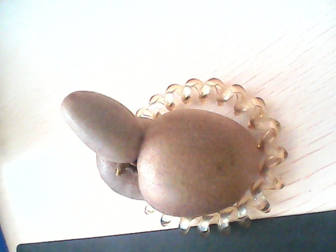 IMG_20130830_154042.jpg