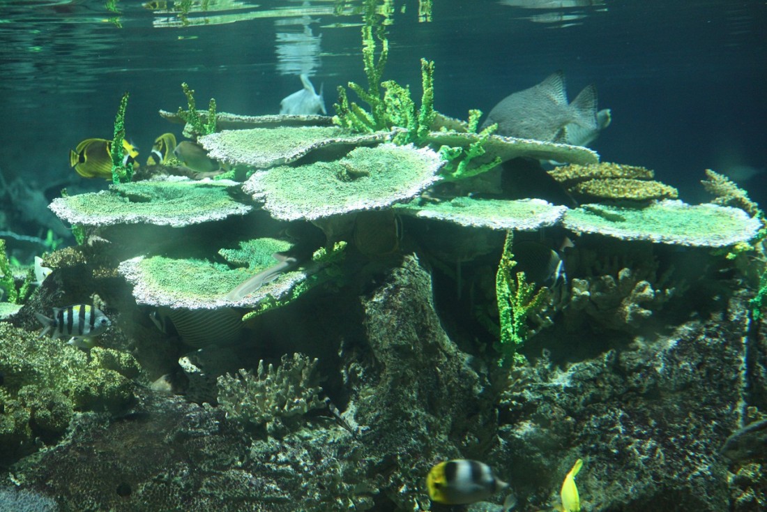 26330_4711.jpg
