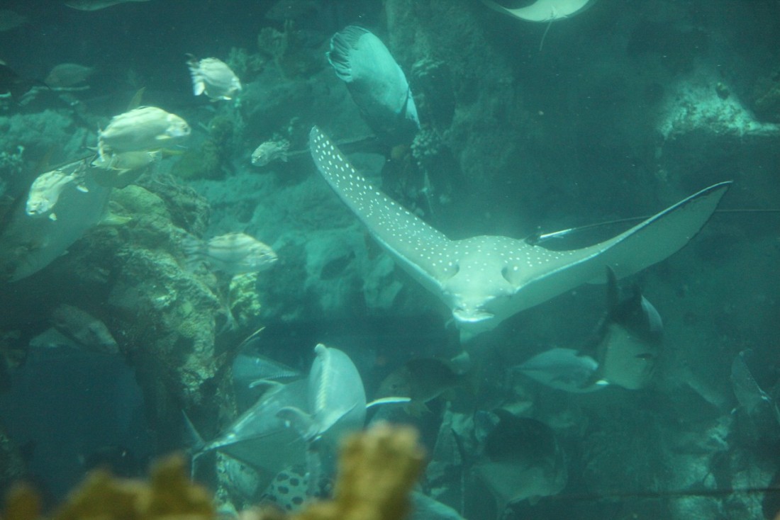 26330_4712.jpg