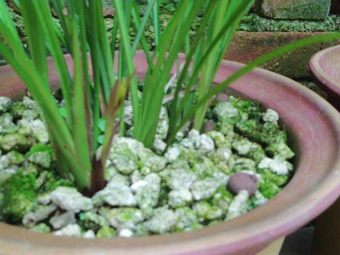 PICT0004.JPG