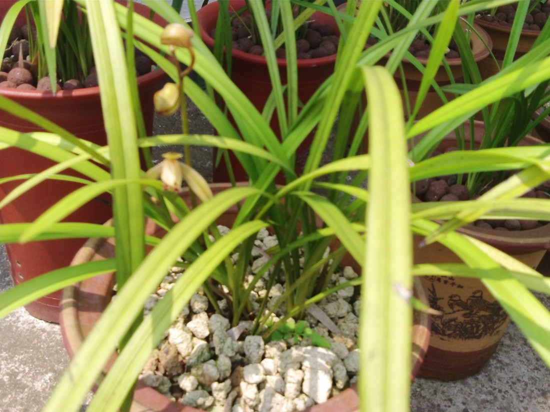 PICT0015.JPG