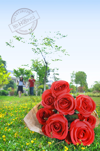 DSC_0474-sc.jpg